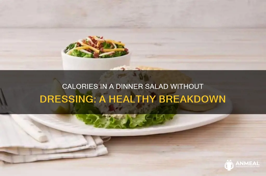 how many calories in a dinner salad no dressing