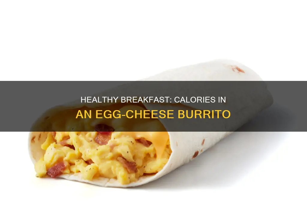 how many calories in a egg cheese breakfast burrito