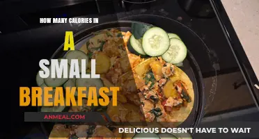 Calorie Counting: A Small Breakfast's Energy
