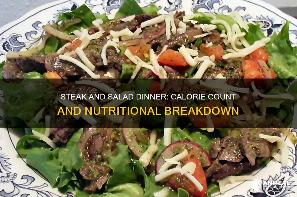 how many calories in a steak and salad dinner
