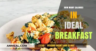 Breakfast Calories: What's the Ideal Count?
