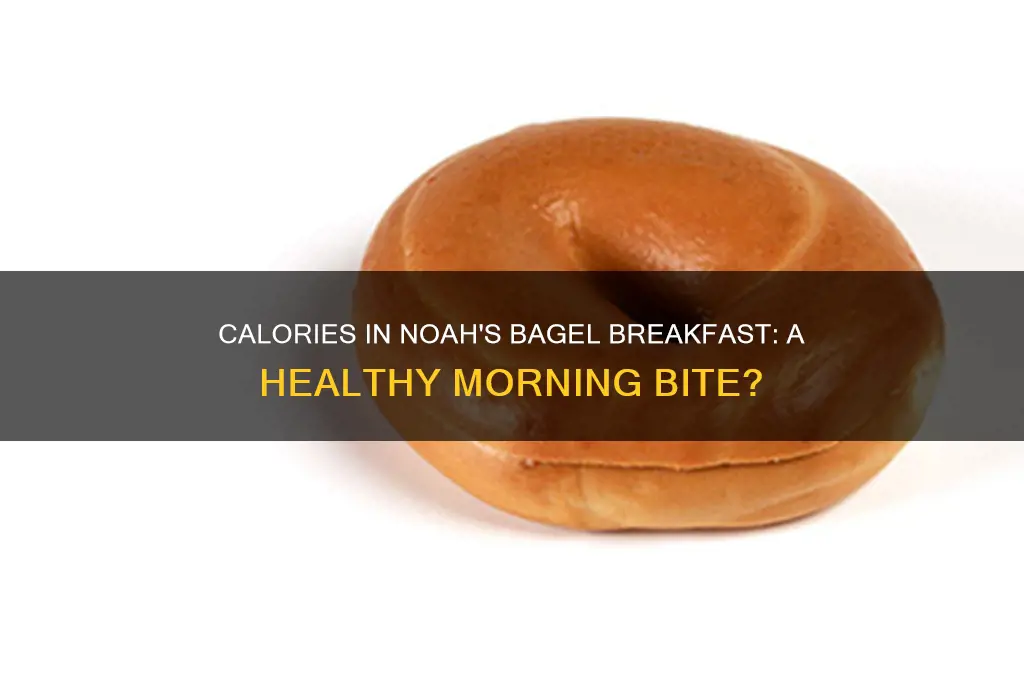 how many calories in noah