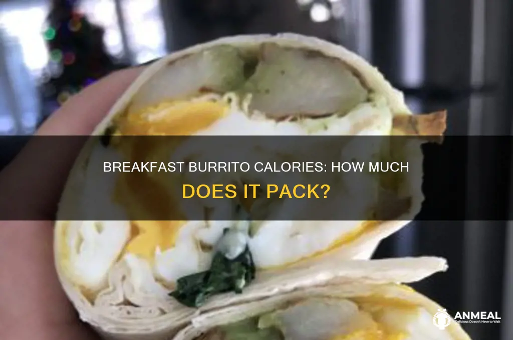 how many calories in one breakfast burito
