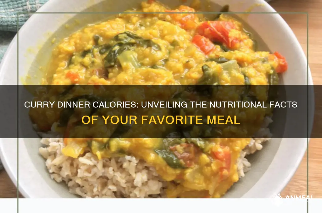 how many calories is a curry dinner