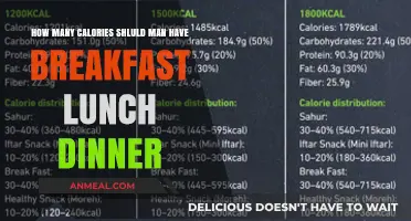 Calorie Counting: Breakfast, Lunch, and Dinner