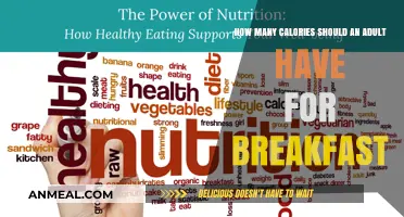 Breakfast Calories: How Much Energy to Start Your Day?