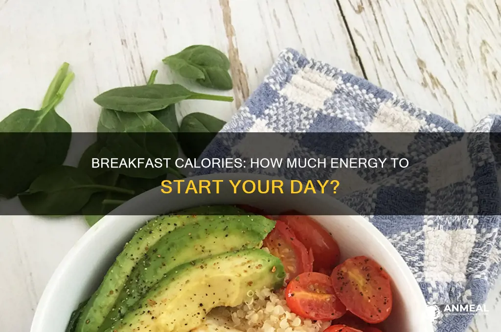 how many calories should an adult have for breakfast