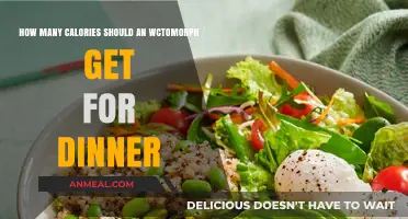 Ectomorph Dinner Calorie Guide: Fueling Your Lean Physique Effectively