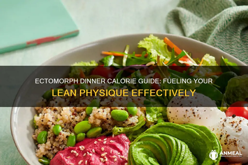 how many calories should an wctomorph get for dinner
