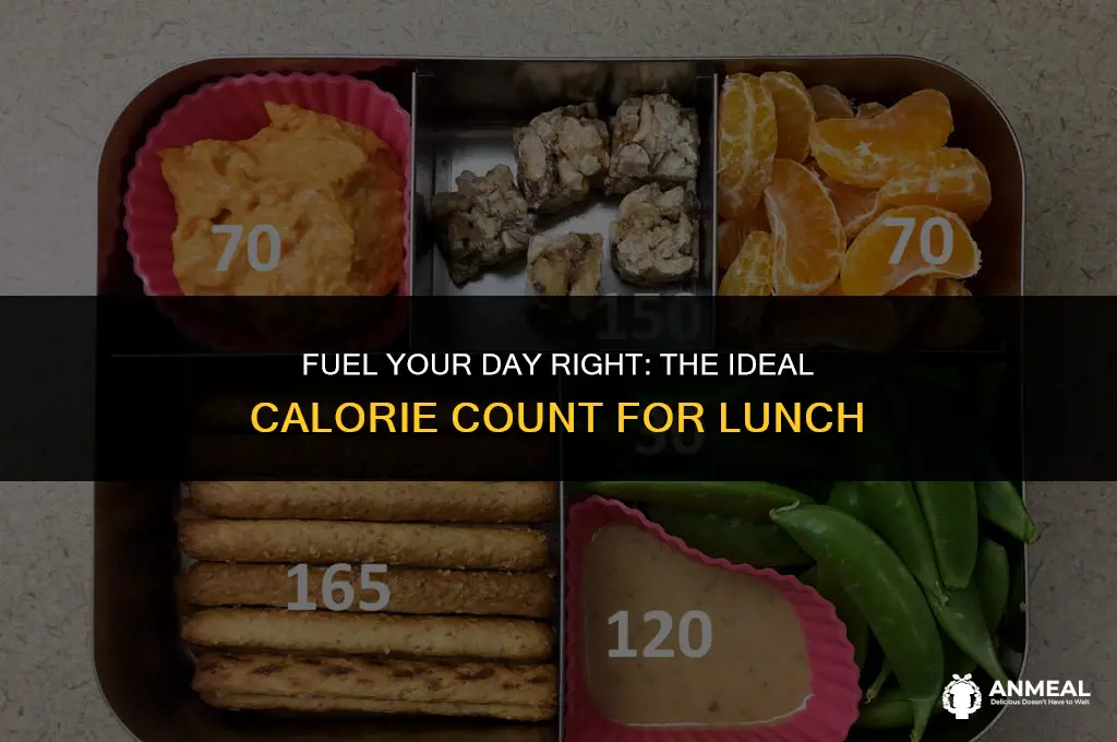 how many calories should be in your lunch