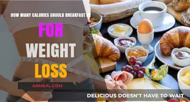Breakfast Calories: The Key to Weight Loss Success
