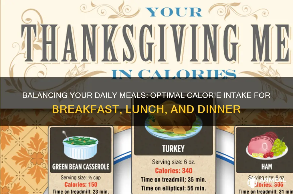 how many calories should breakfast lunch and dinner e