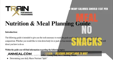 Balanced Eating: A Guide to Caloric Intake per Meal Without Snacks