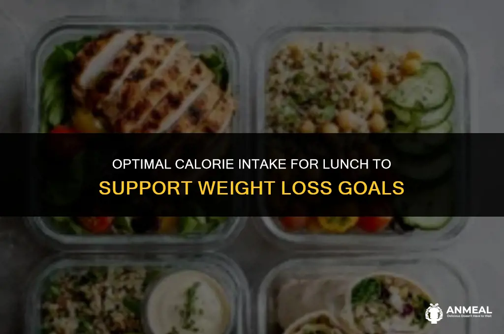 how many calories should lunch be to lose weight