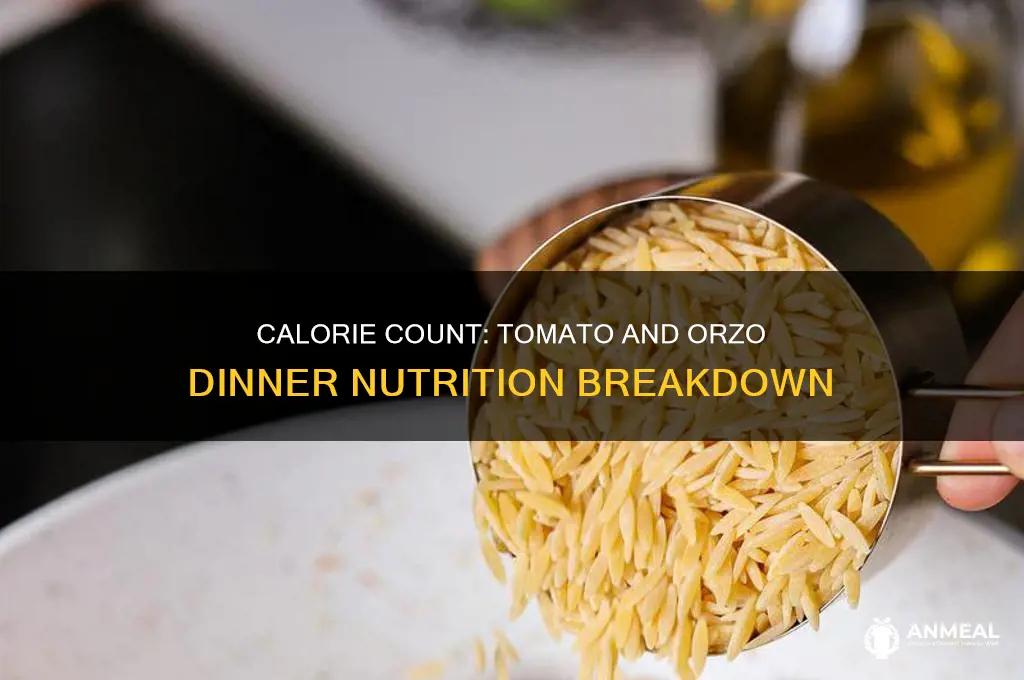 how many calories tomatoe orizo dinner