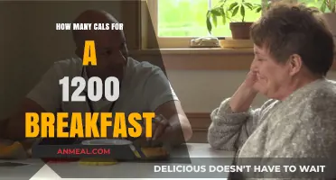 Smart Breakfast Calorie Counting for Weight Loss