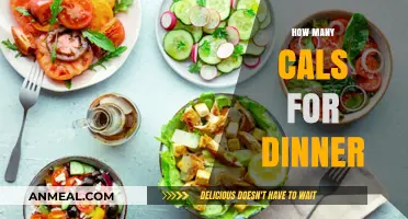 Perfect Dinner Calorie Count: Balancing Nutrition and Satisfaction Easily