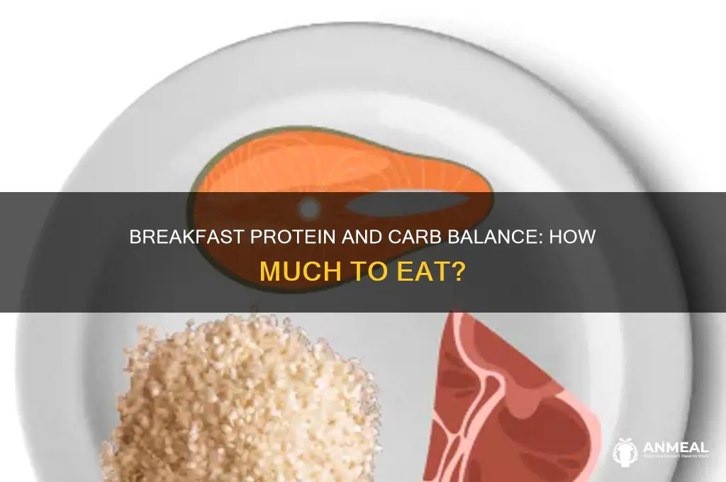 how many carbs and protein for breakfast
