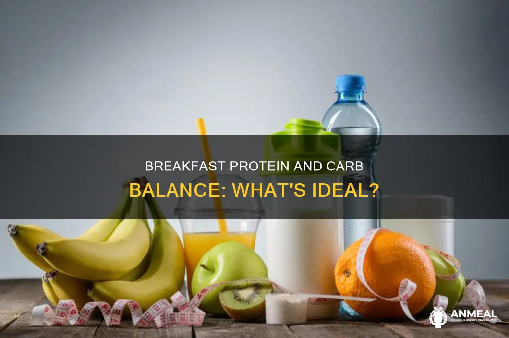 how many carbs and protien for breakfast
