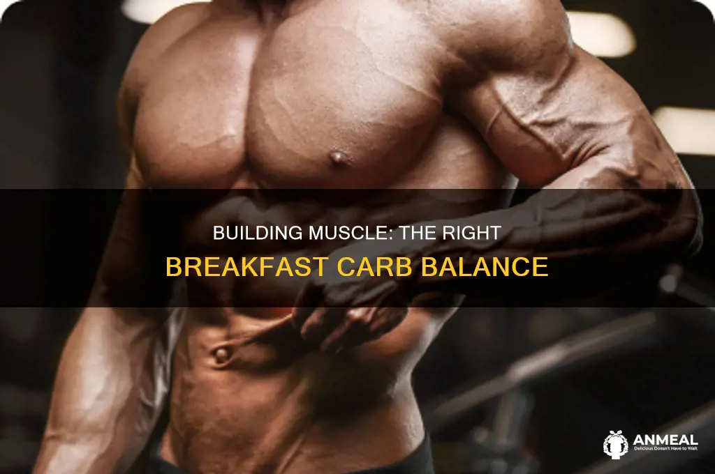 how many carbs for breakfast bodybuilding
