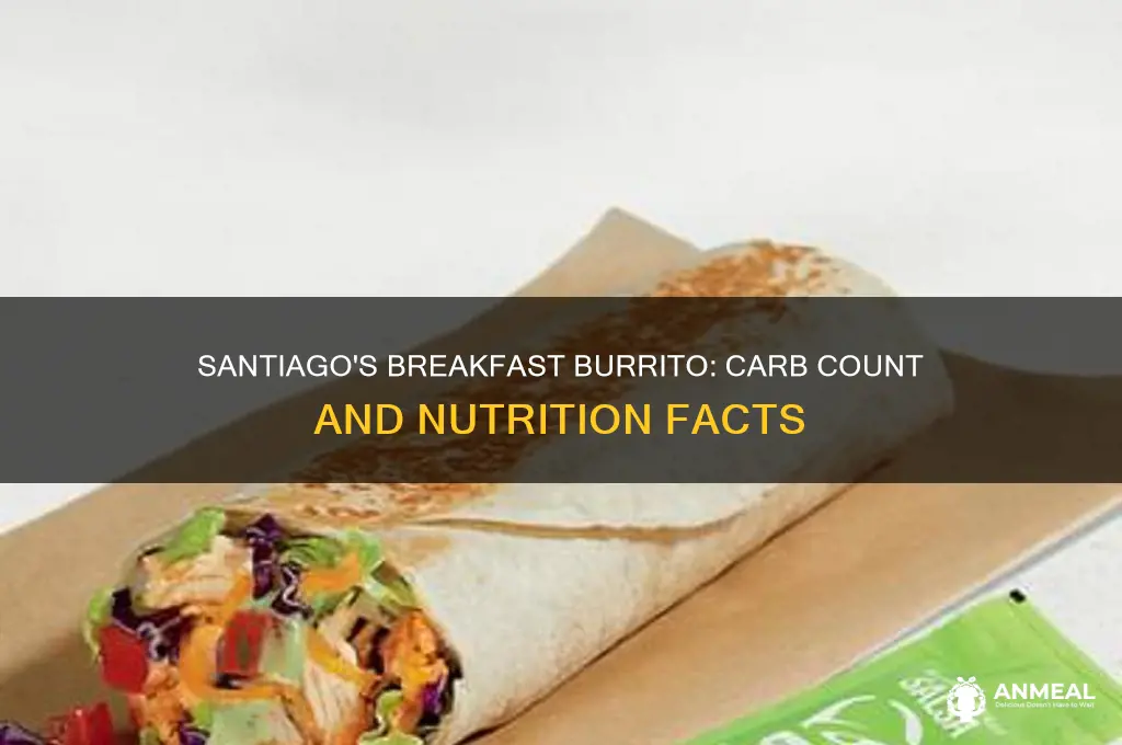 how many carbs in santiago
