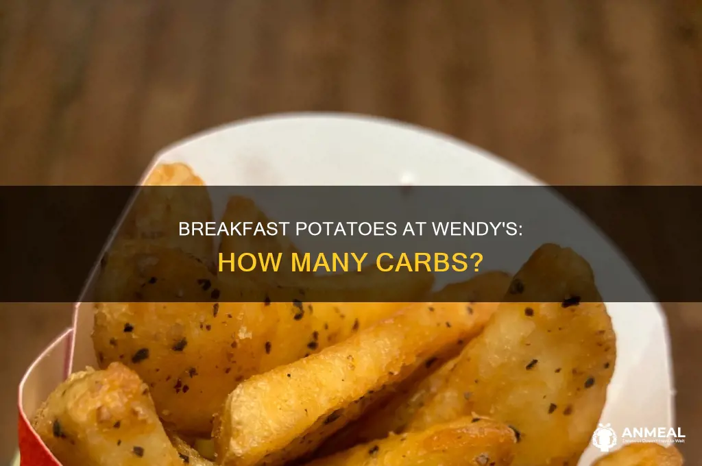 how many carbs in wendy