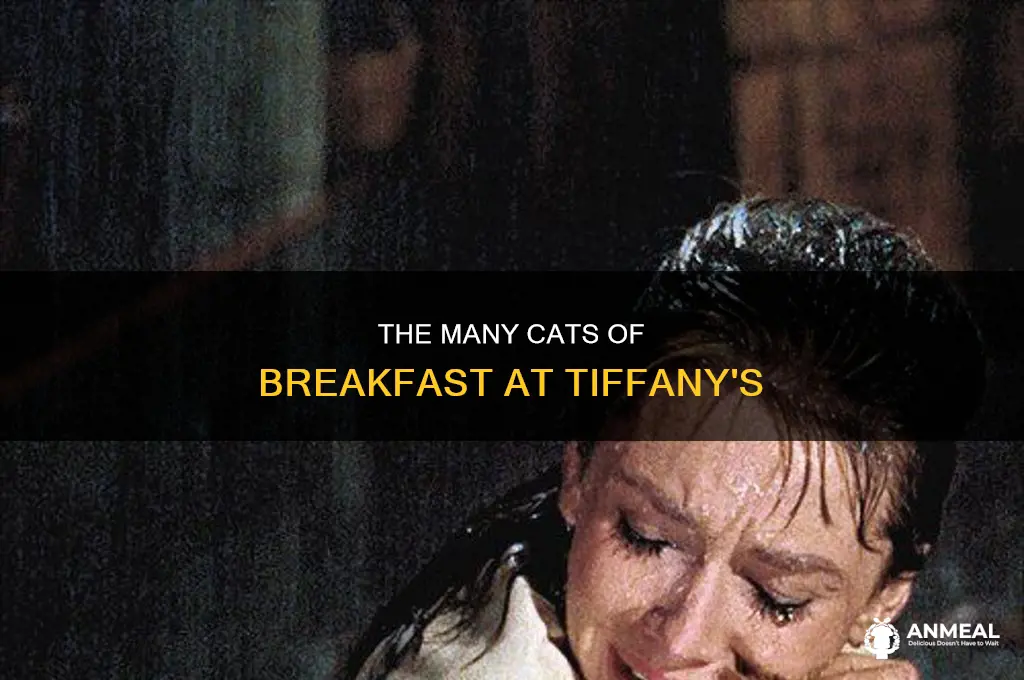 how many cats were using in breakfast at tiffany
