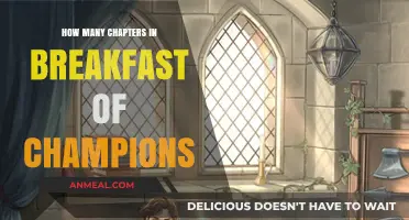 Breakfast of Champions: A Comprehensive Chapter Guide