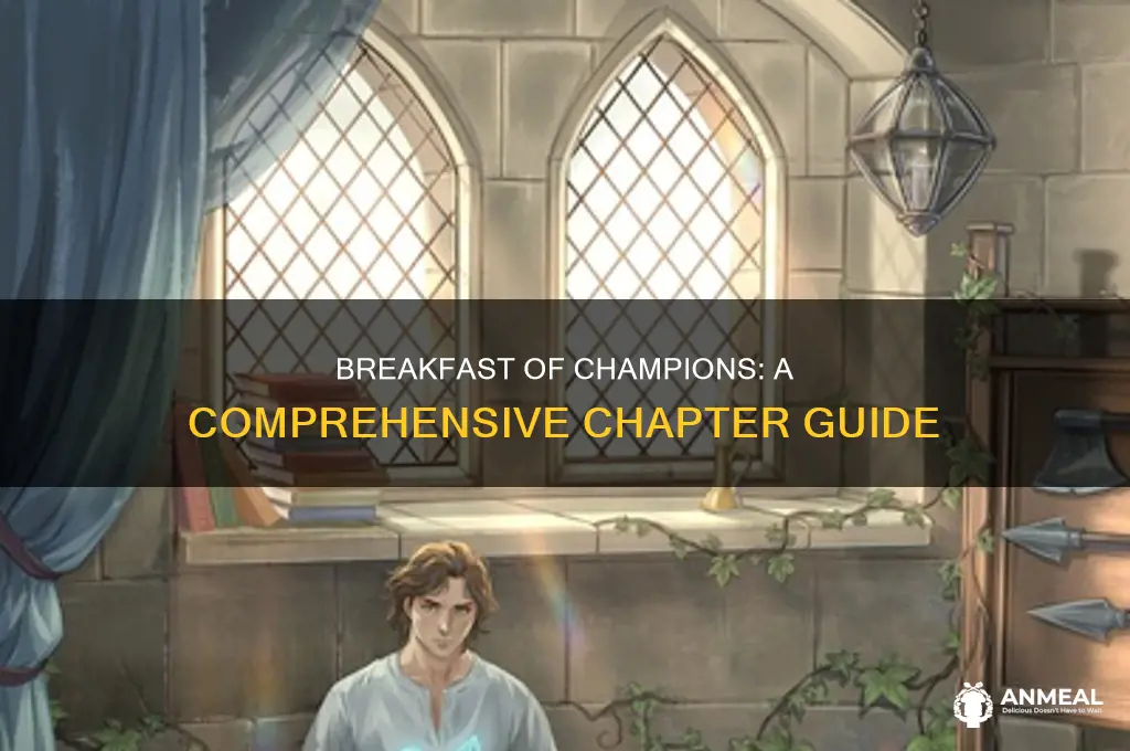 how many chapters in breakfast of champions