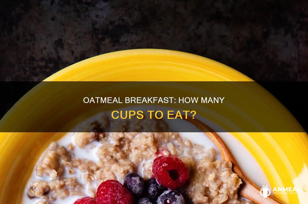 how many cups of oatmeal for breakfast