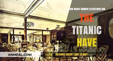 Titanic's Dinner Elevators: Unveiling the Ship's Culinary Transport Secrets