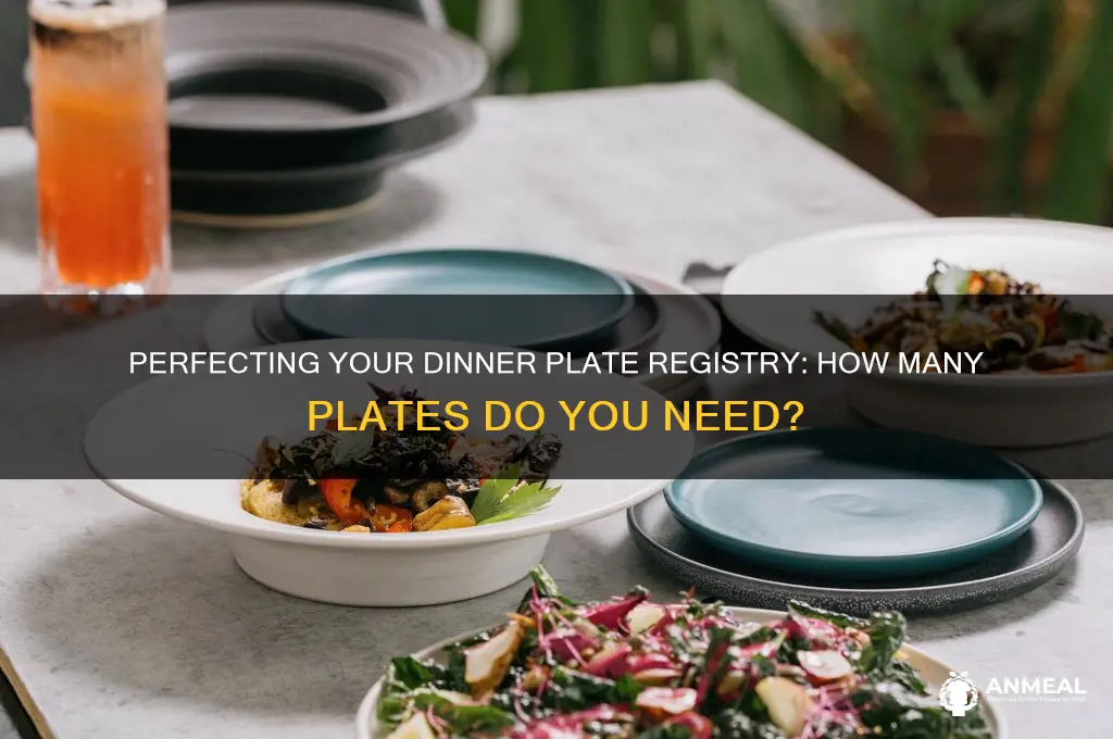how many dinner plate registry