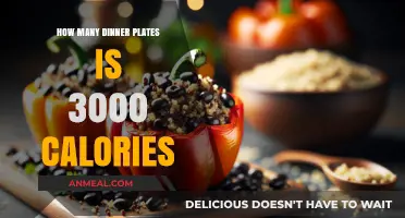 Understanding Caloric Intake: How Many Dinner Plates Equal 3000 Calories?