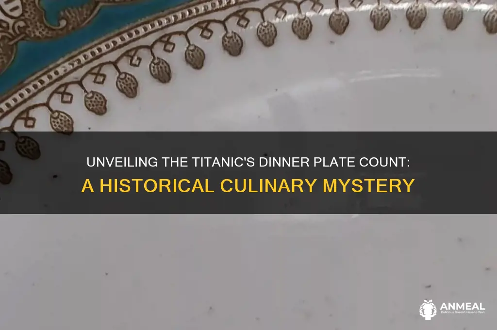 how many dinner plates on titanic