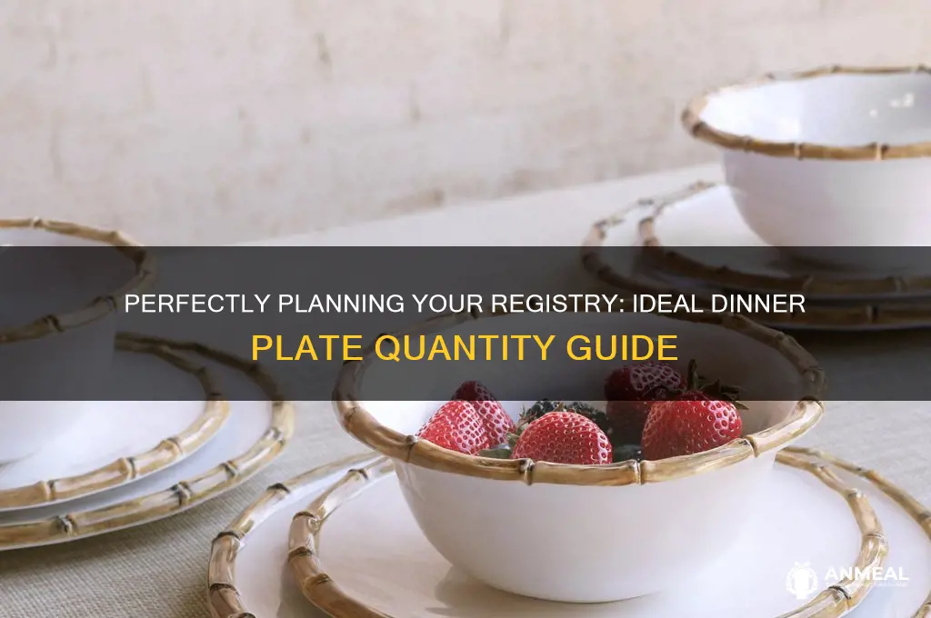 how many dinner plates should i register for