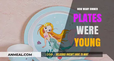 Unveiling the Mystery: Dinner Plates for Young Ones, Ages 8-10
