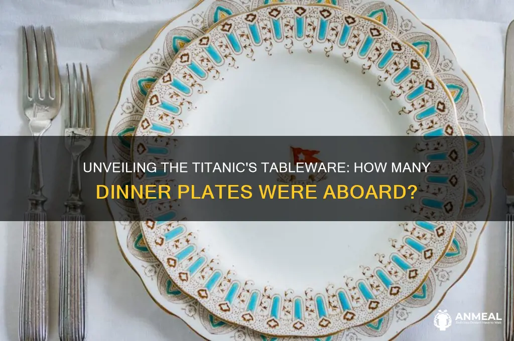 how many dinner plates where on the titainc