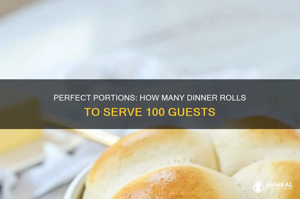 how many dinner rolls for 100