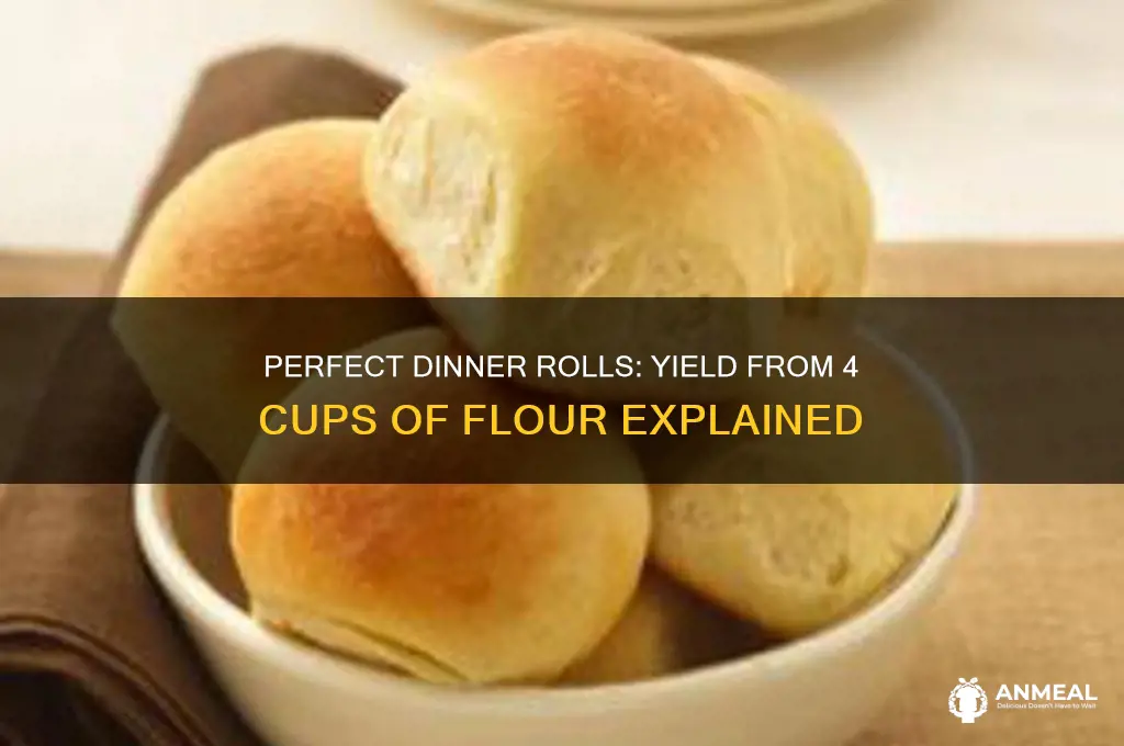 how many dinner rolls from 4 cups flour