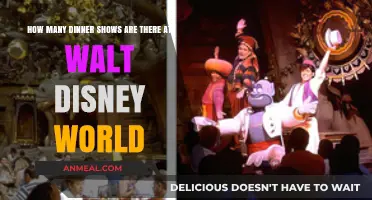 Discover the Magic: Walt Disney World's Dinner Show Variety