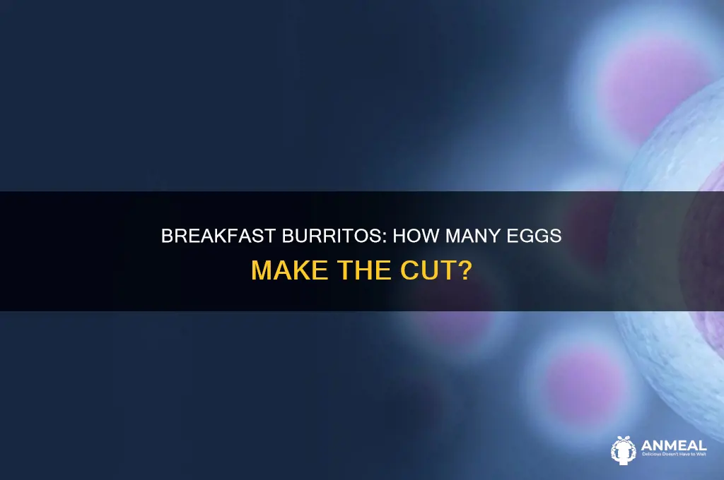how many eggs are in a breakfast burrito