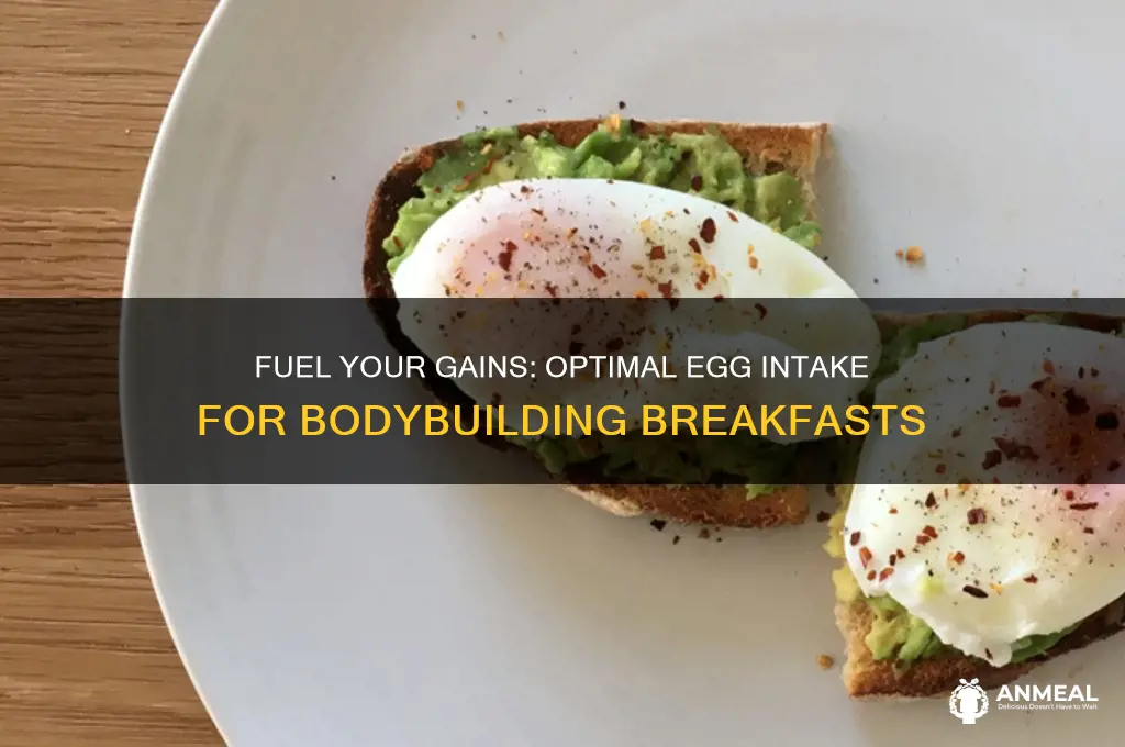 how many eggs breakfast bodybuilding
