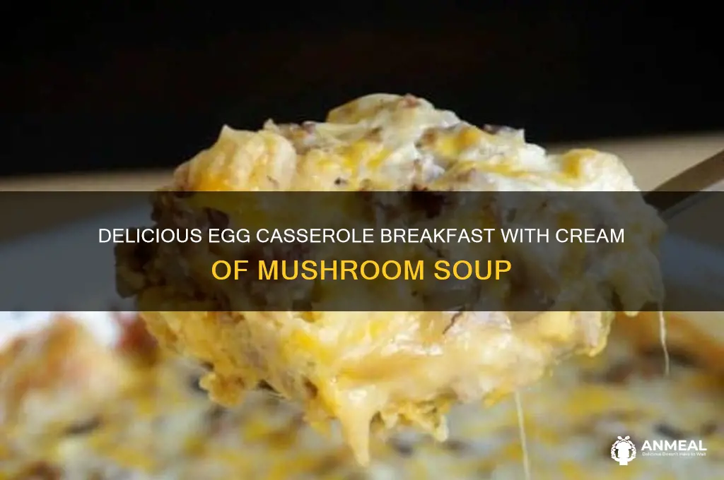 how many eggs cream of mushroom soup casserole breakfast