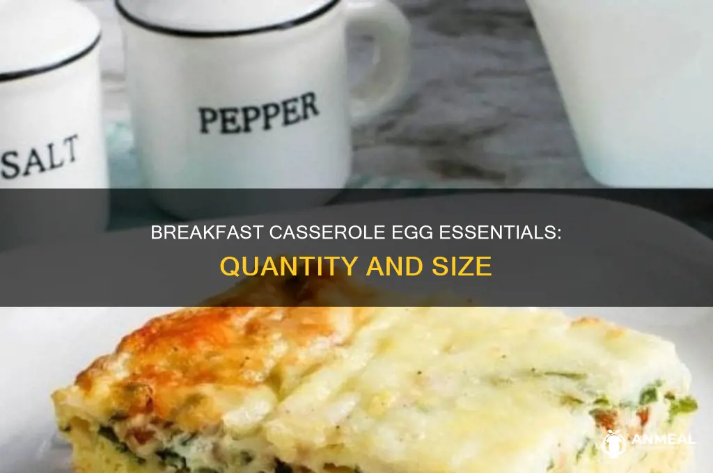 how many eggs for a 9x13 breakfast casserole