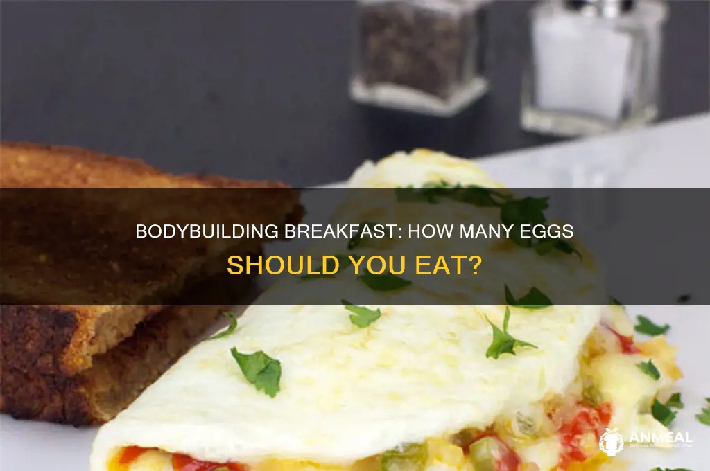 how many eggs for breakfast bodybuilding