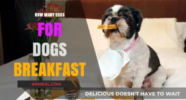 Eggs for Dogs' Breakfast: How Many to Serve?