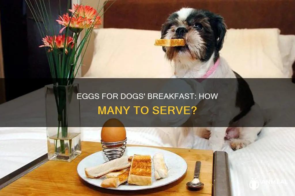 how many eggs for dogs breakfast