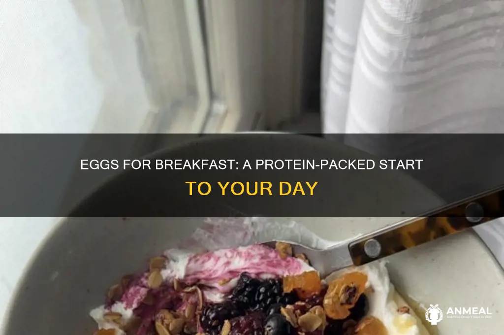 how many eggs for high protein breakfast