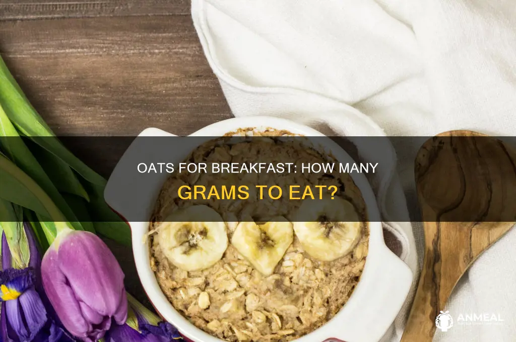 how many g of oats for breakfast