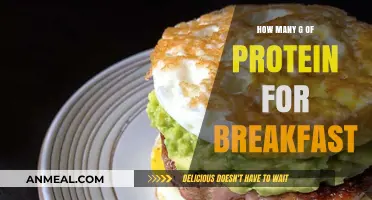 Protein-rich Breakfast: How Many Grams to Eat?